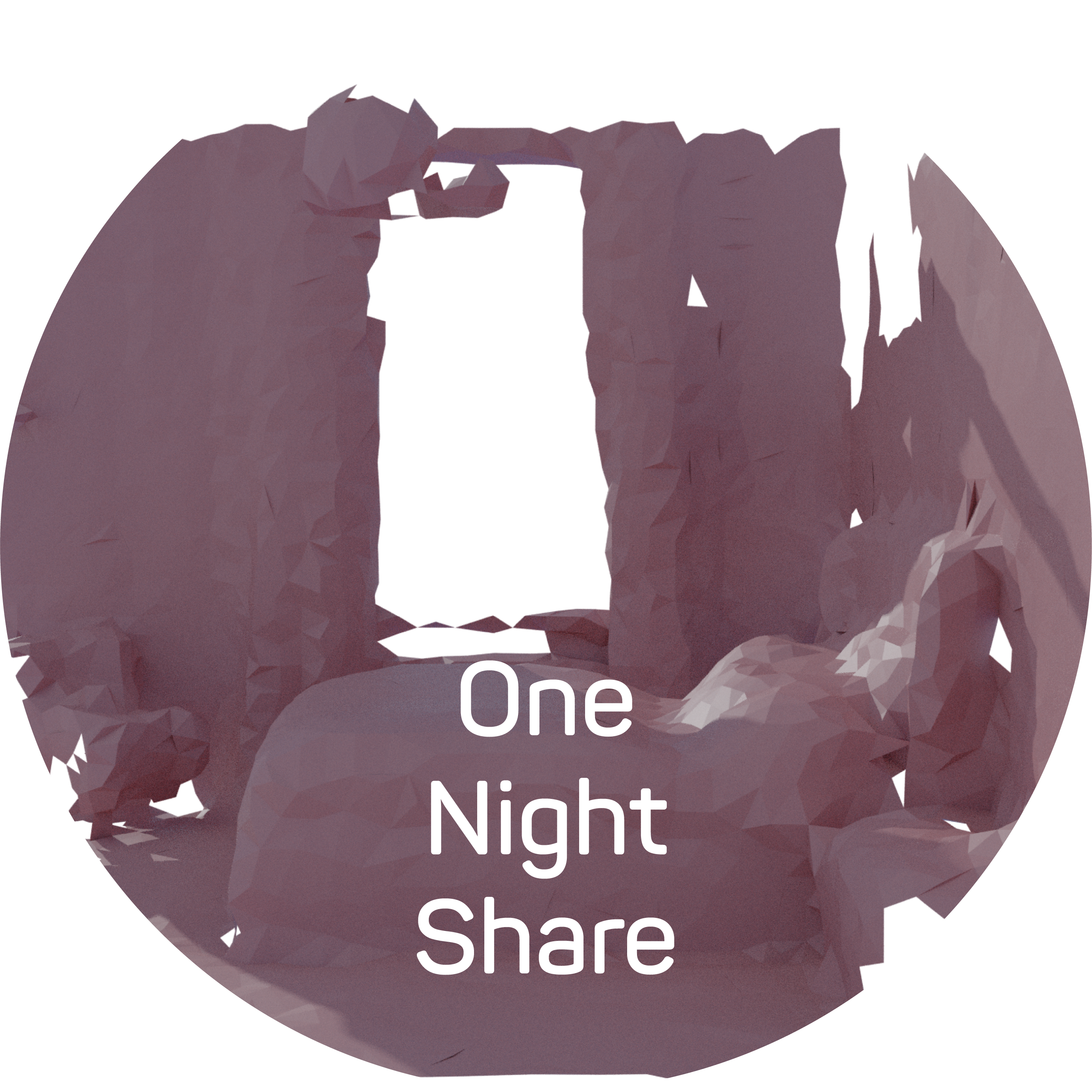 One Night Share